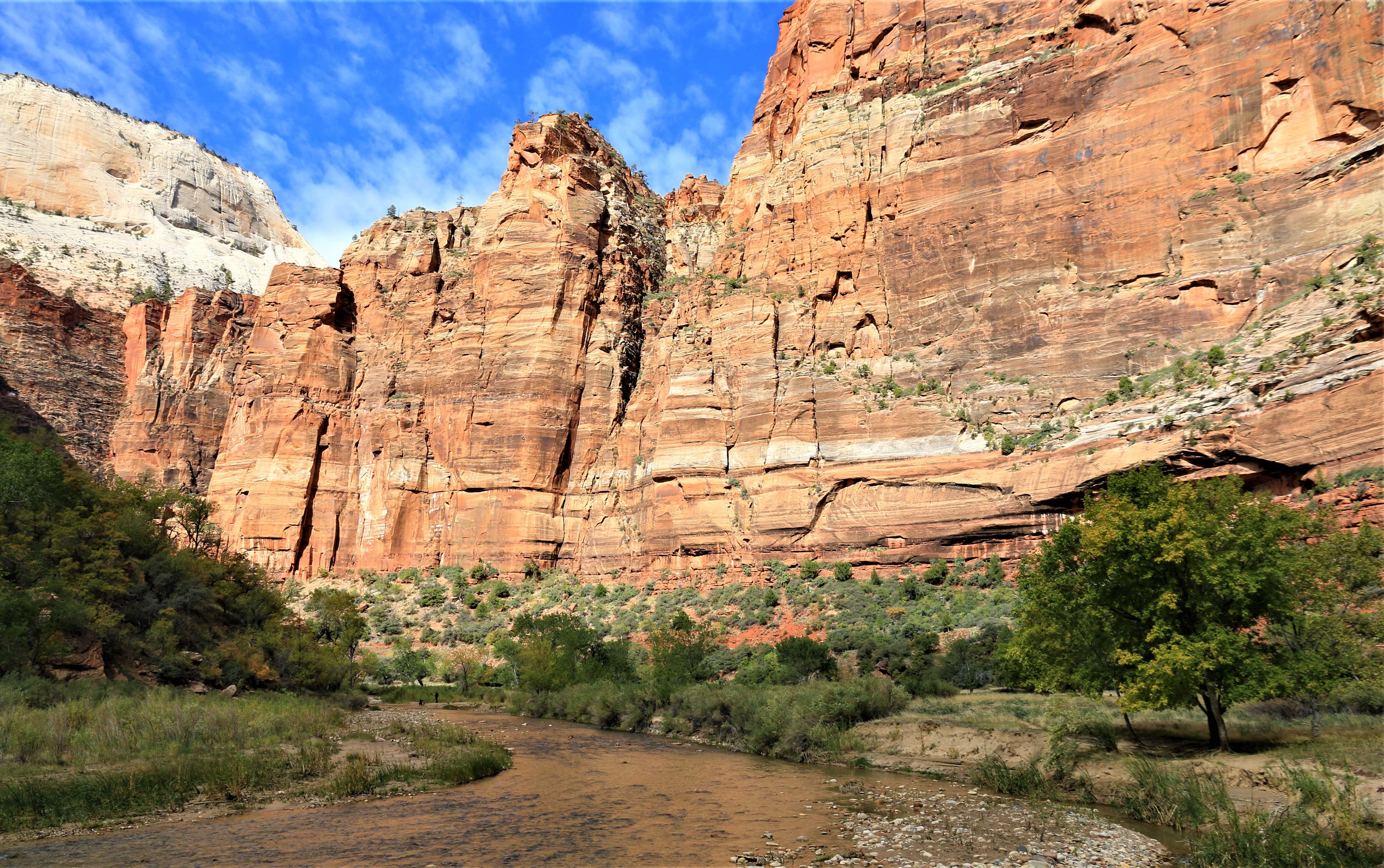 Zion NP